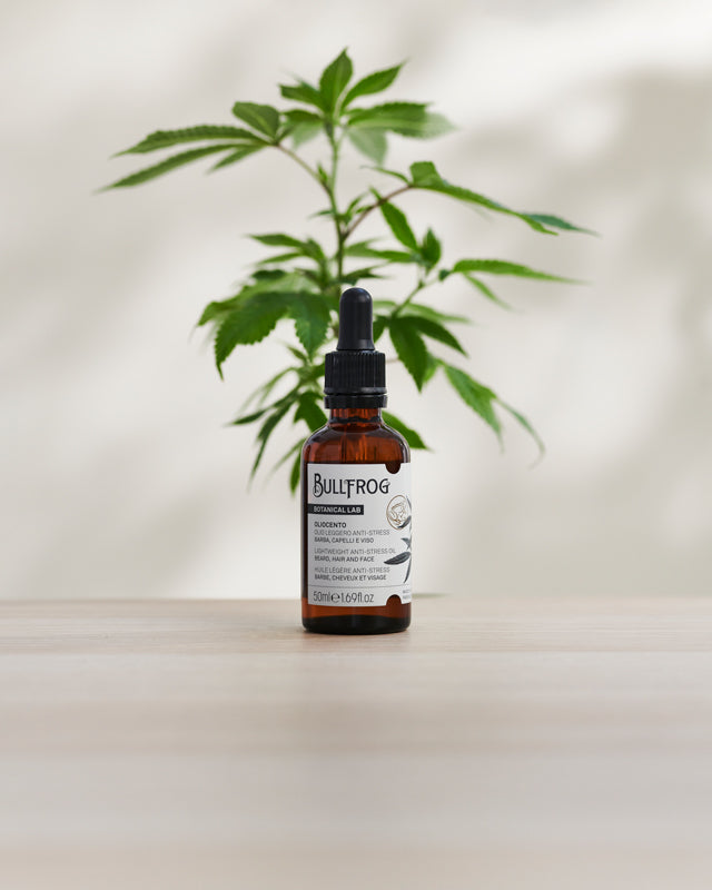 Oliocento